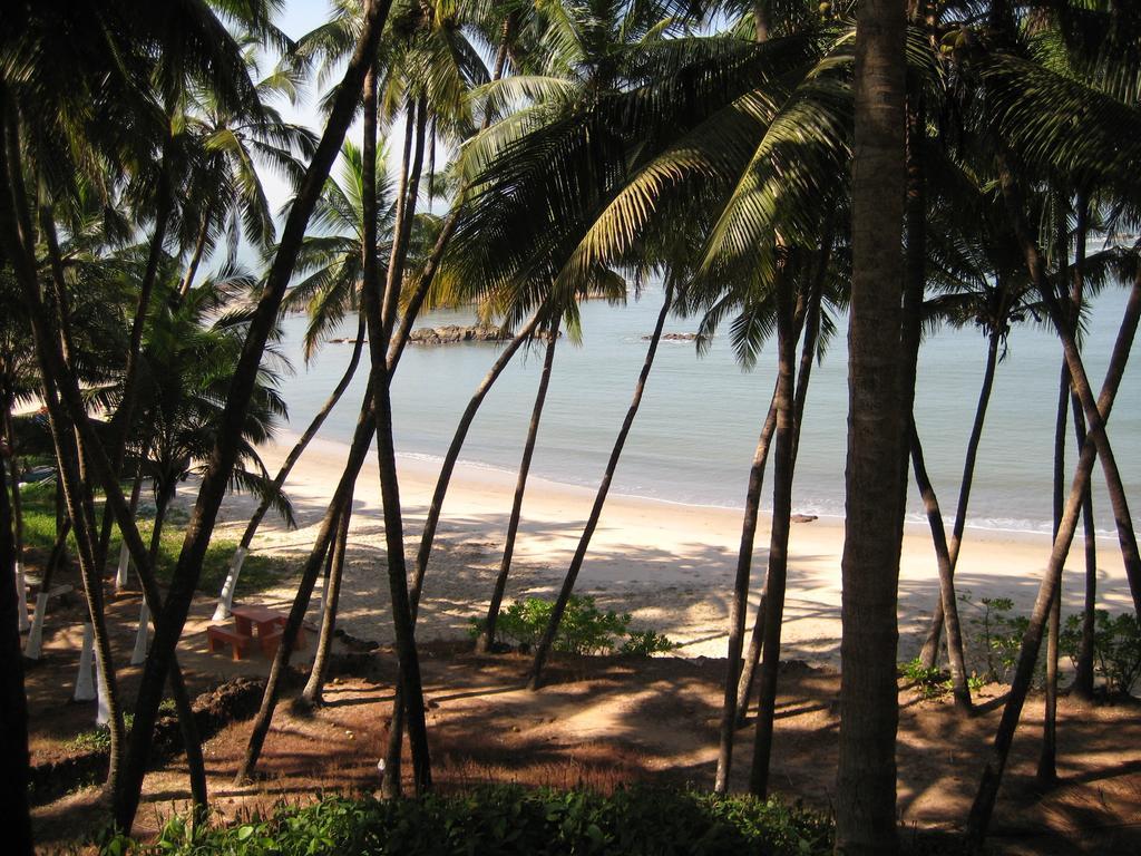 Chera Rocks Beach House Hotel Thottada ห้อง รูปภาพ